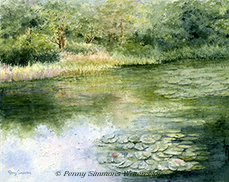 A Lily Pond